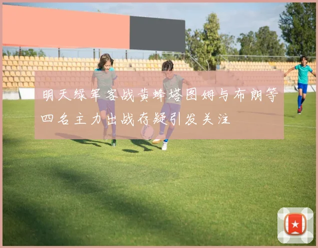 明天绿军客战黄蜂塔图姆与布朗等四名主力出战存疑引发关注