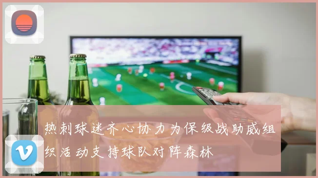 热刺球迷齐心协力为保级战助威组织活动支持球队对阵森林
